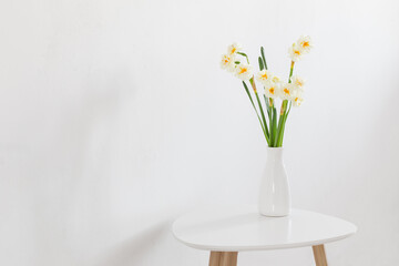 daffodils in white vase on white background