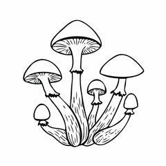 Honey mushrooms isolated on white background. Vector stock illustration