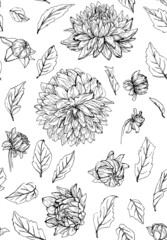 Patrón vectorizado de flores de línea negras sobre fondo blanco, Dalias, ilustración de línea en blanco y negro