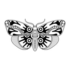 vector butterfly black and white element line art print design