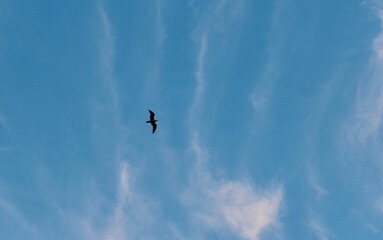 Port de Sauzon, Belle Ile en Mer, Bretagne, Morbihan, France