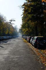 The forest of Vincennes in autumn. The 10th November 2021, Paris, France.