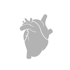 Obraz premium body organs icons, heart on a white background, vector illustration