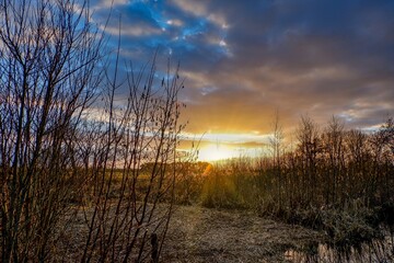 Feuchtgebiet mit Wasserlauf und Bäumen