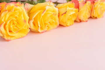 Yellow roses on a pink background with space for text