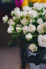 Obraz na płótnie Canvas White roses close-up. Tender bouquet. Spring vibes