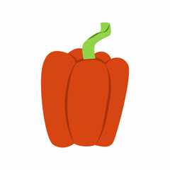 Paprika. Pepper. Vector illustration. Fresh vegetables.