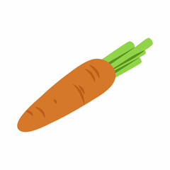Carrot. Vector illustration. Fresh vegetables.