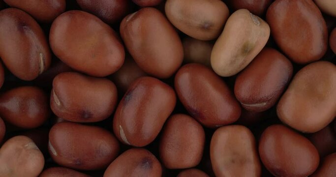 Top view of fava beans rotating. Closeup. Macro.