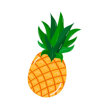 Pineapple, tropical fruits in a flat style, summer fruits for healthy eating, summer plants. Botanical vector illustration for packaging, products, design.
