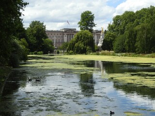 Fototapeta na wymiar View of the lake, trees and palace