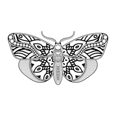vector butterfly black and white element line art print design