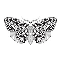 vector butterfly black and white element line art print design