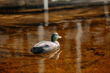An artificial rubber duck floats on the water, close-up photographed
