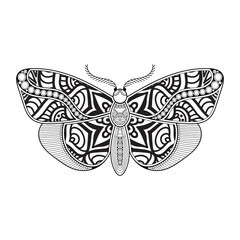 vector butterfly black and white element line art print design