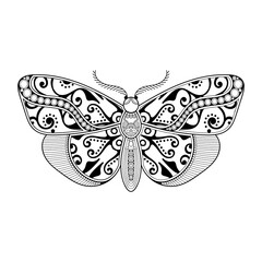 Naklejka na ściany i meble vector butterfly black and white element line art print design