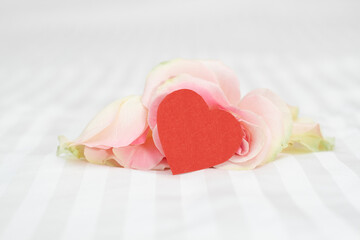 Rose on a white background with a heart. A gift for Valentine's days.