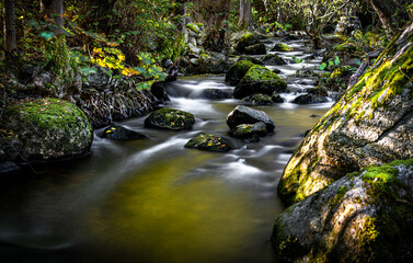 On a beautiful autumn day, I listened to the roar of the river.