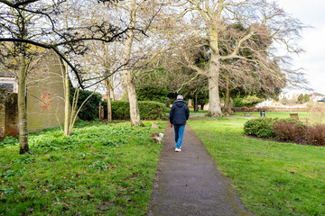 An elderly man walking his dog through a beautiful park in a Suffolk town
