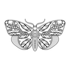 vector butterfly black and white element line art print design