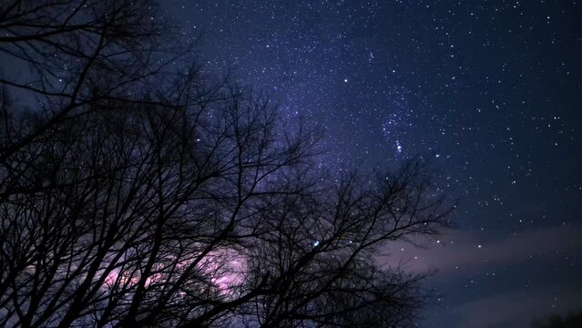 冬の星空
