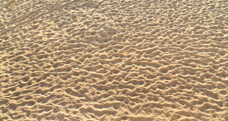 Fine beach sand in the summer sun