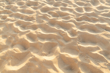 Sand texture background. Top view