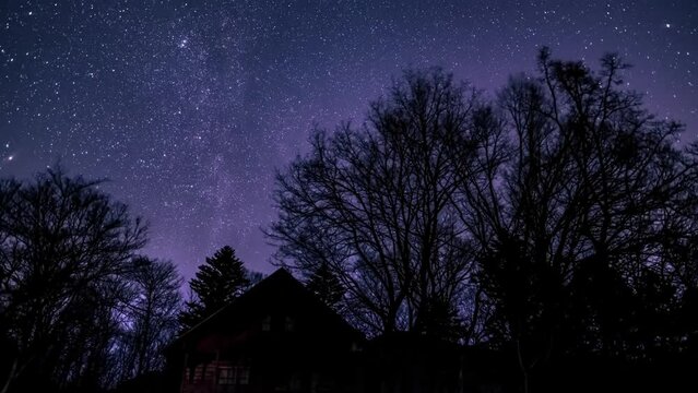 冬の星空