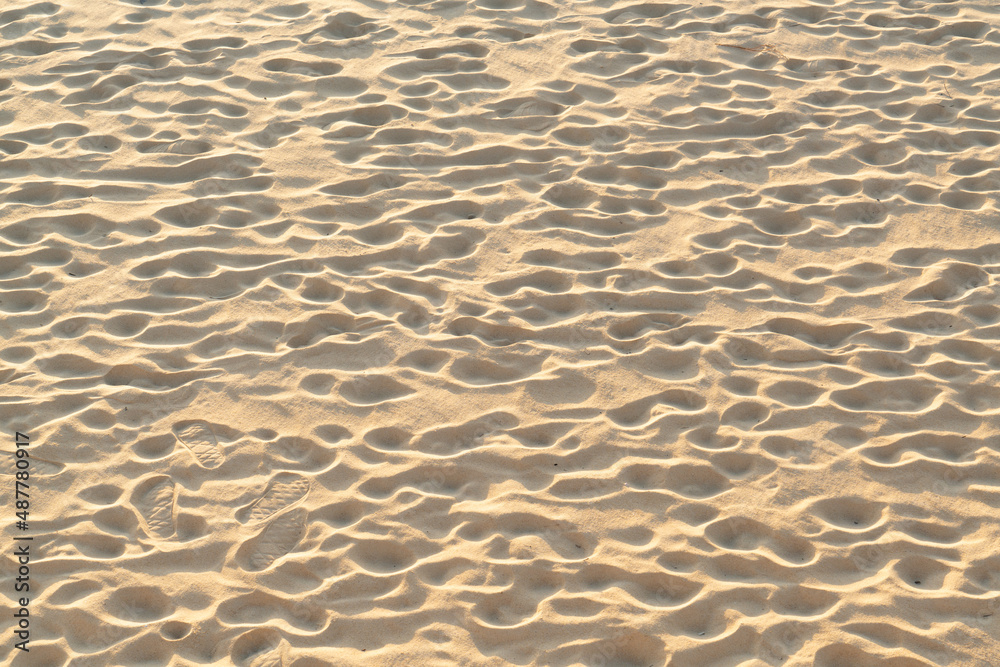 Wall mural Fine beach sand in the summer sun