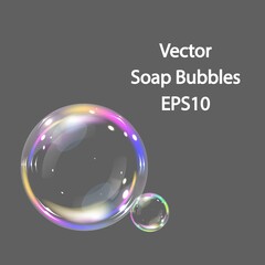 Colorful and transparent soap bubbles. Vector, EPS10.