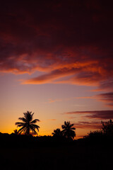 Obraz na płótnie Canvas Idyllic sunset between palm trees. Holiday landscape.