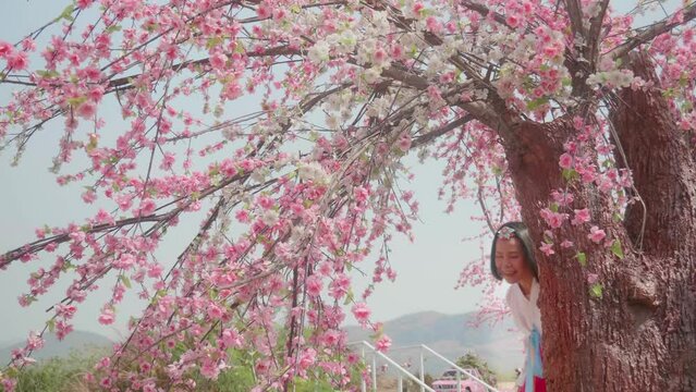 A middle-aged woman in her 40s, bright-faced, happy, dressed in Korean hanbok, under a sakura blossom tree.