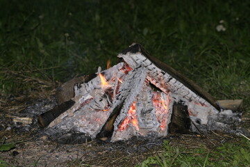 wood fire camp in the forest