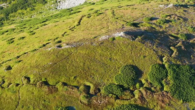 Gadzhina tract with the trenches of the First World War, a view from the drone of a copter. Defensive position at the top of the mountain. Steep slopes of Montenegro Carpathians in Ukraine