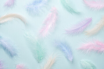 Feathers multicolored background in pastel colors. Feathers pattern. Natural pastel feathers in...