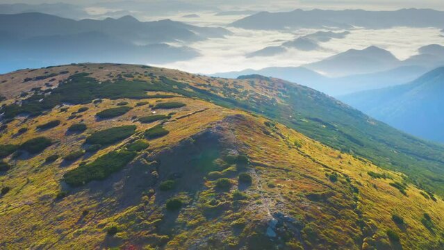 Gadzhina tract with the trenches of the First World War, a view from the drone of a copter. Defensive position at the top of the mountain. Steep slopes of Montenegro Carpathians in Ukraine