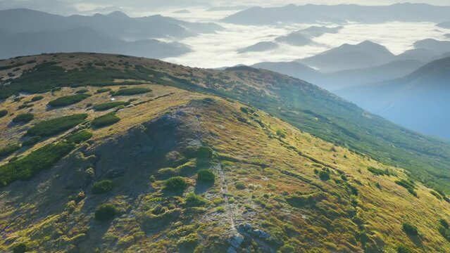 Gadzhina tract with the trenches of the First World War, a view from the drone of a copter. Defensive position at the top of the mountain. Steep slopes of Montenegro Carpathians in Ukraine