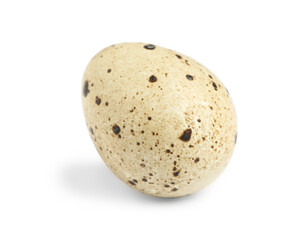 One beautiful quail egg isolated on white