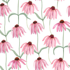 Seamless pattern with echinacea wild flowers. Watercolor illustration on white background. Great for fabrics, wrapping papers, wallpapers, covers. Summer textile print.