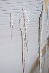 Frozen ice icicles hang under the plastic visor of the roof edge. On a light background. Large cascades, even beautiful rows. Cloudy winter day, soft light.