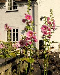 England UK. Traditional houses and cottages in an English Village. Suitable for articles on housing market, finance, mortgage, cost of living etc. Generic property image.