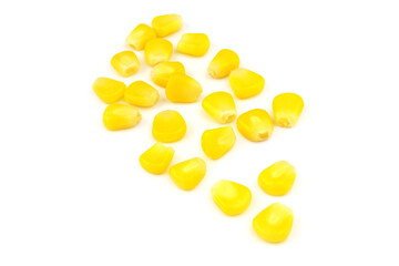 Many corn seeds isolated on white background	