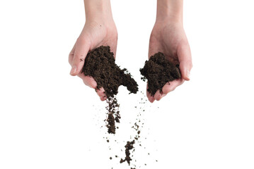 Brown soil in woman hands isolated on white.