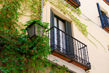 Fototapeta na wymiar Elegant facade with vivid greenery and vintage balcony downtown Madrid, Spain