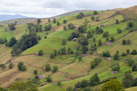 Parcelas con caba&ntilde;as pasiegas. Ladera en Cantabria.