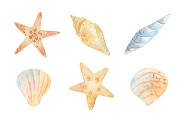 Fototapeta na wymiar Watercolor sea set of starfish, seashells, conch. Underwater world hand drawing, summer clipart