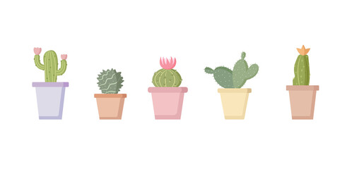 set of five different pictures of cacti