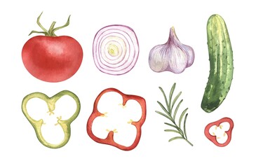 Watercolor hand drawn food vegetables, garlic, cucumber, tomato, onion. Isolated elements
