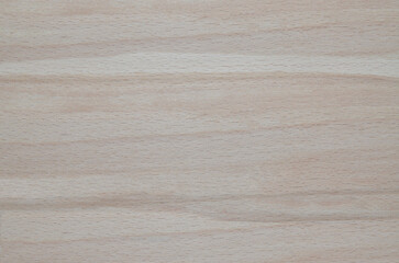 Wood texture. Lining boards wall. Wooden background. pattern. Showing growth rings