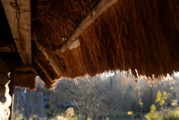 Part of an ancient thatched roof